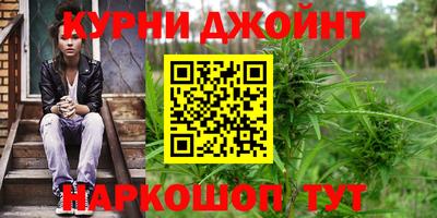 гашик Гусев