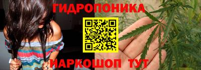 гашик Гусев
