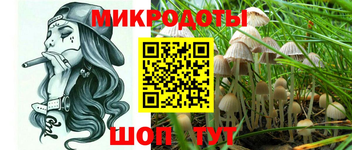 Галлюциногенные грибы Psilocybe  купить наркоту  Кандалакша 