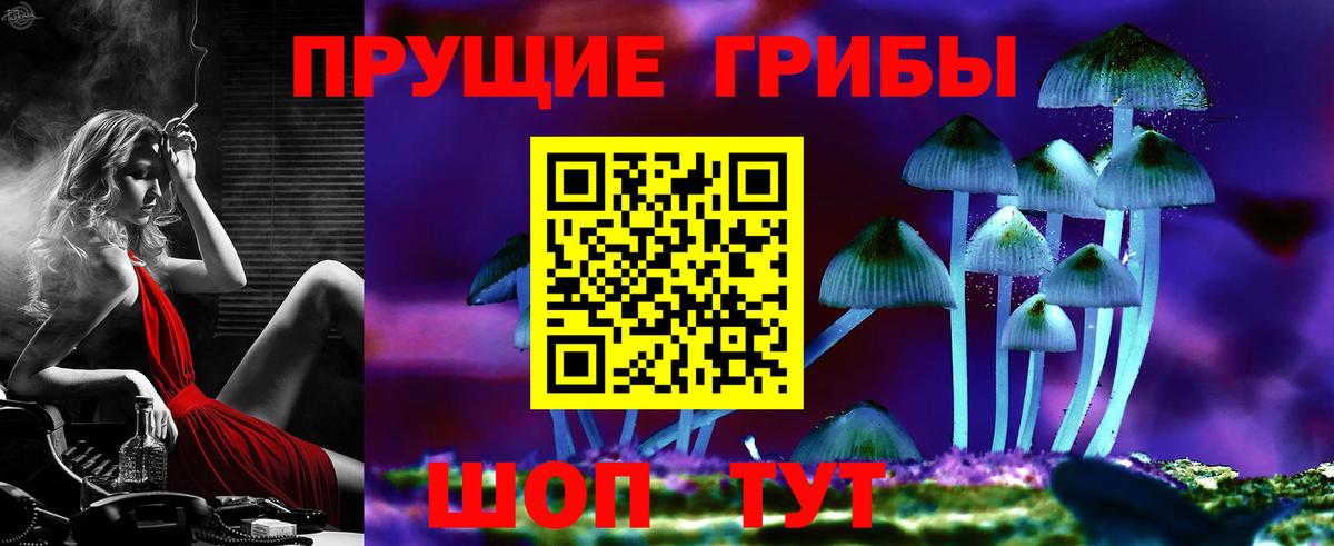 Галлюциногенные грибы Cubensis Кандалакша