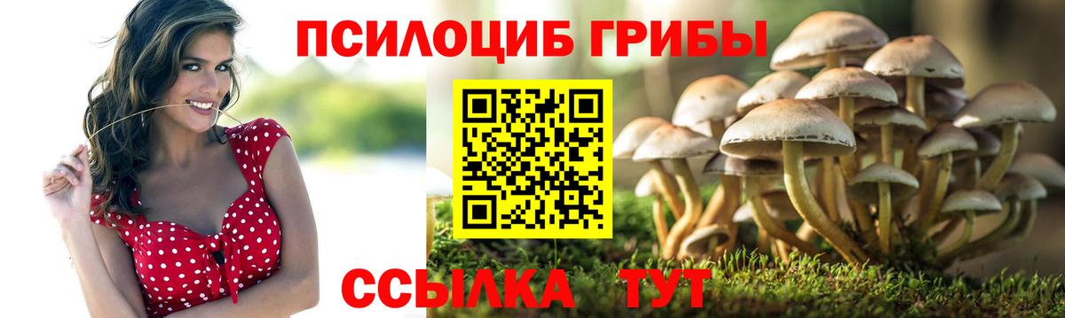 Псилоцибиновые грибы GOLDEN TEACHER  Вход с VPN  Кандалакша 