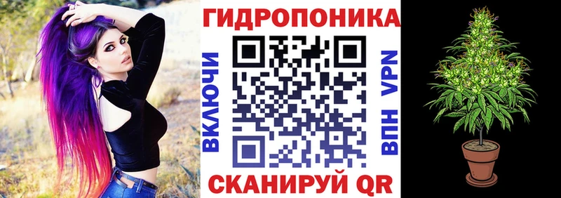 Бошки Шишки конопля как найти закладки Кандалакша